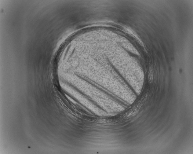 X0000075871360200610151650