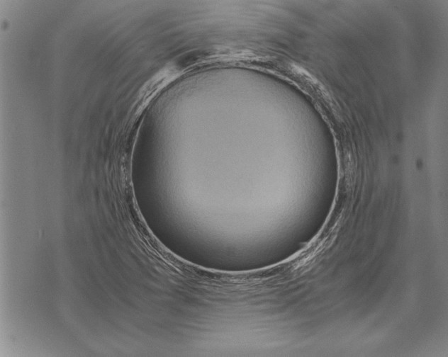 X0000075871361200610151650