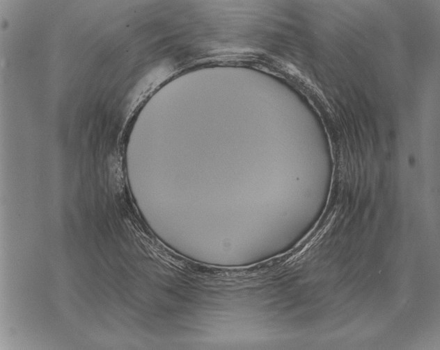 X0000075871362200610151650