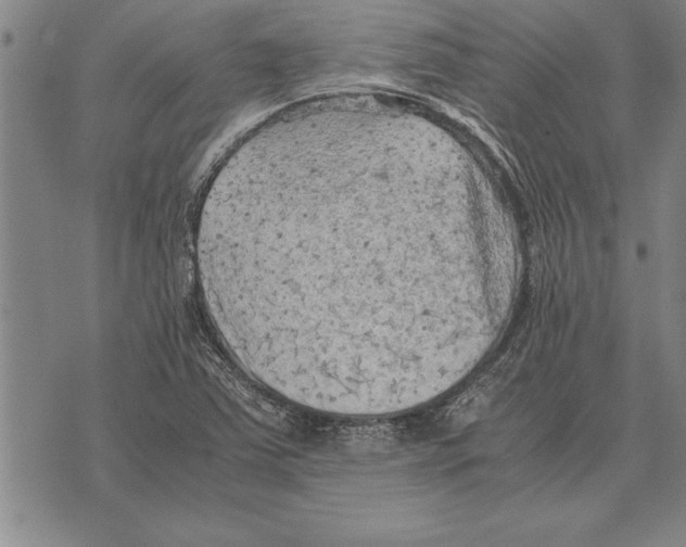 X0000075871363200610151650