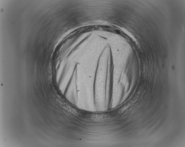 X0000075871364200610151650