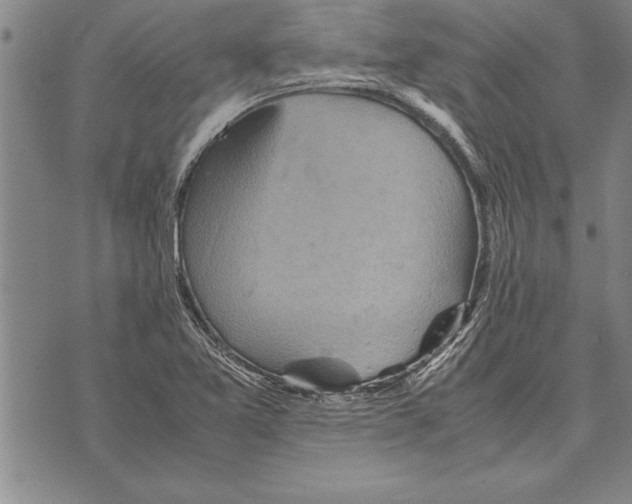 X0000075871365200610151650