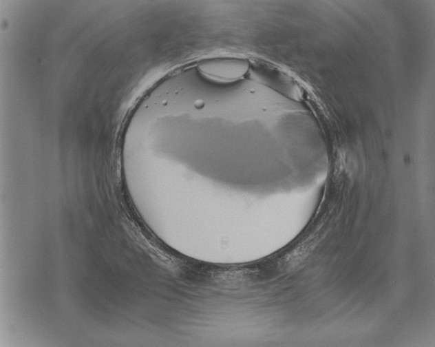 X0000075871367200610151650