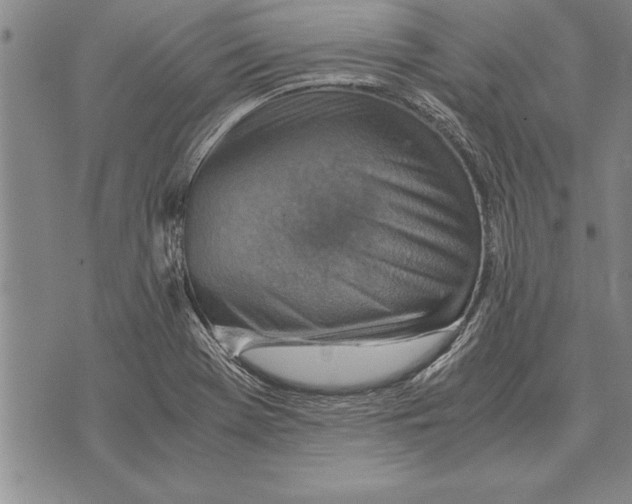 X0000075871369200610151650