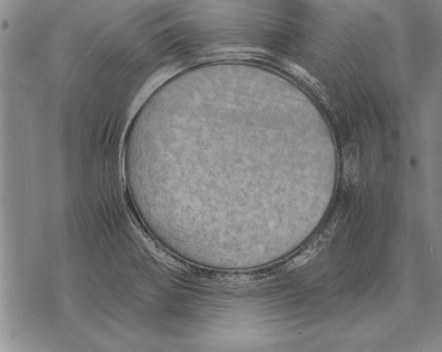 X0000075871370200610151650