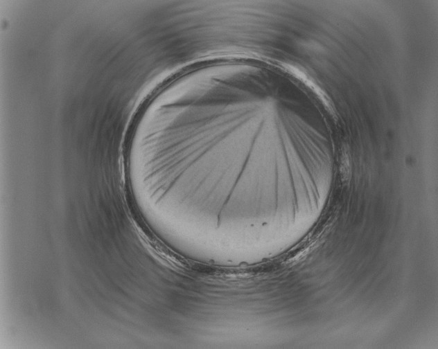 X0000075871372200610151650