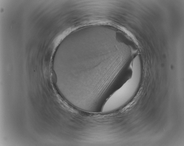 X0000075871373200610151650