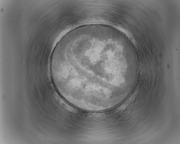 X0000075871374200610151650