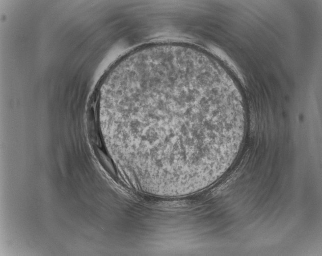 X0000075871376200610151650