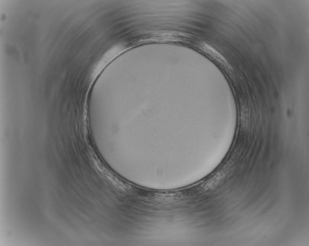 X0000075871378200610151649