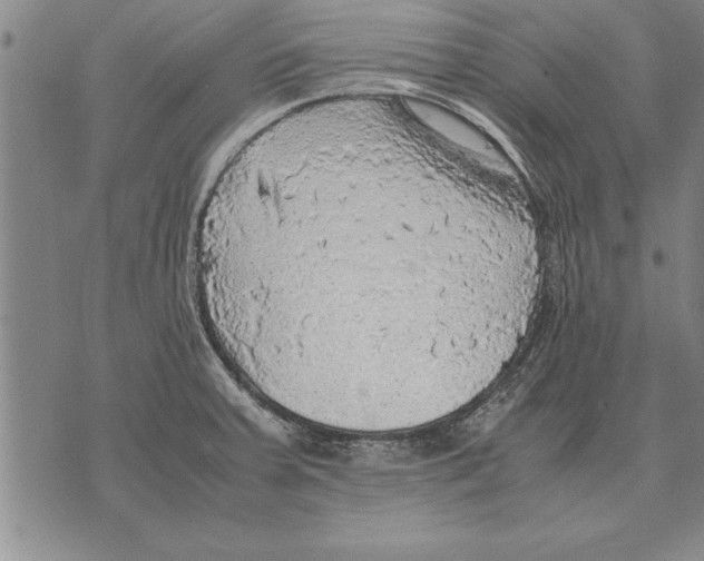 X0000075871379200610151649