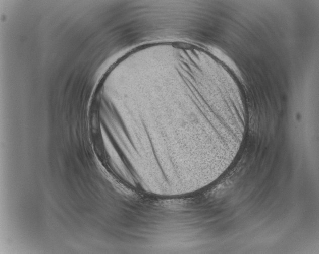 X0000075871380200610151649