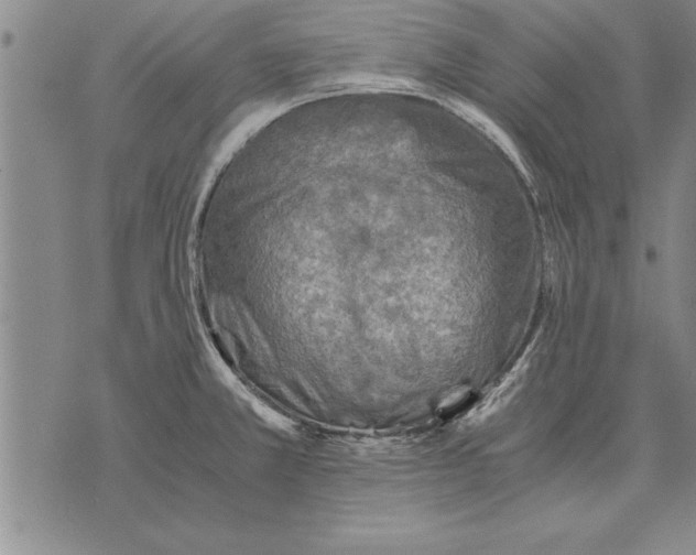 X0000075871381200610151649