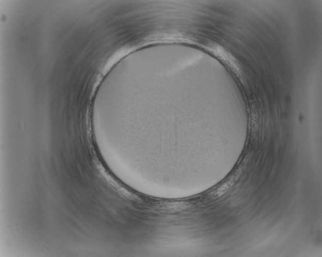 X0000075871382200610151649