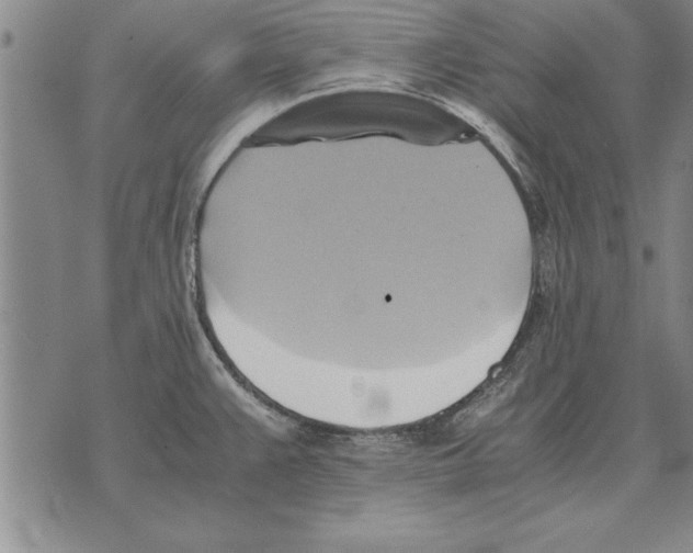 X0000075871383200610151649