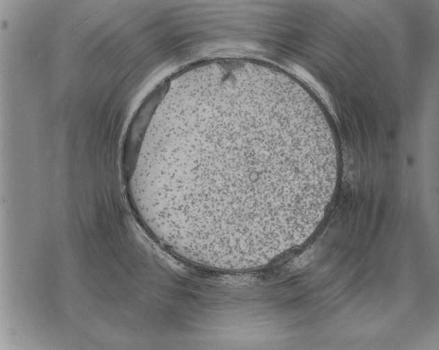 X0000075871384200610151649