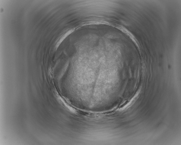 X0000075871385200610151649