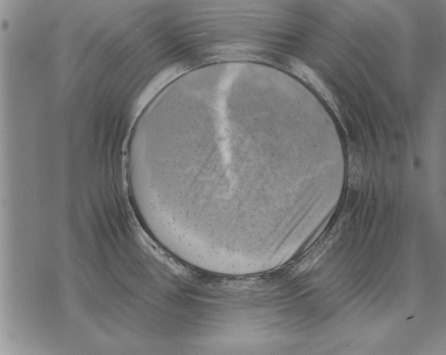 X0000075871386200610151649