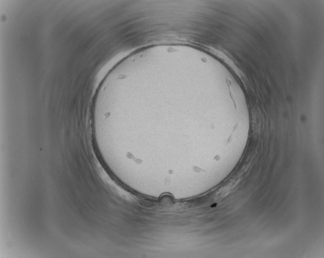 X0000075871387200610151649