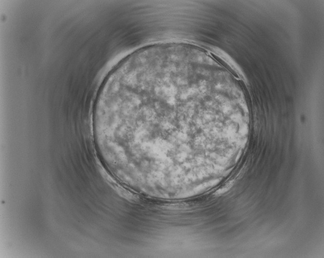 X0000075871388200610151649