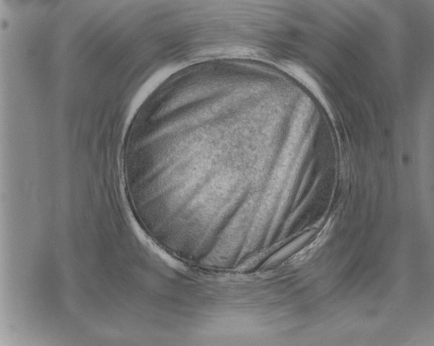 X0000075871389200610151649