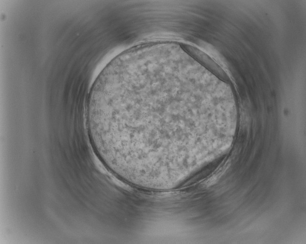 X0000075871390200610151649