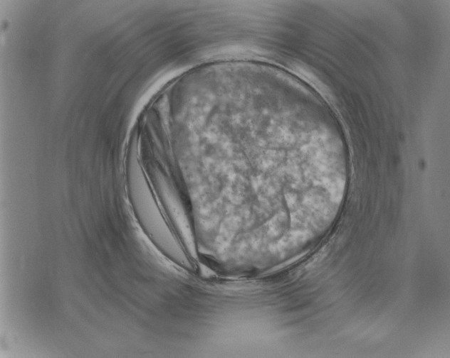 X0000075871392200610151649