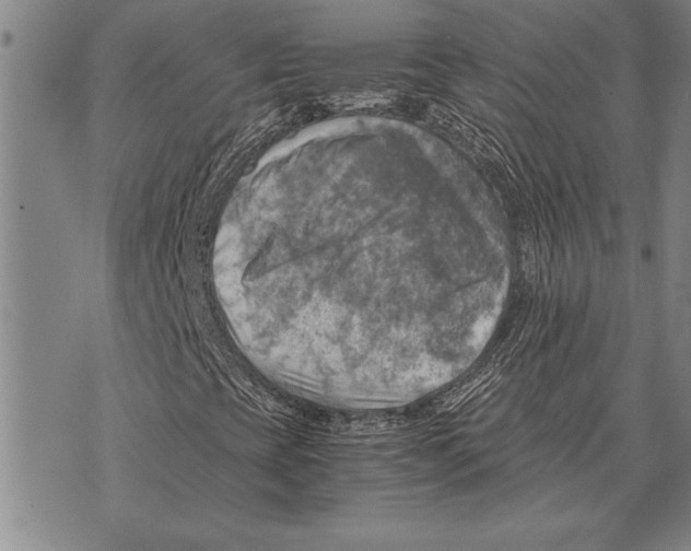 X0000075871393200610151648