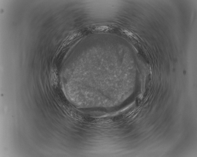 X0000075871394200610151649