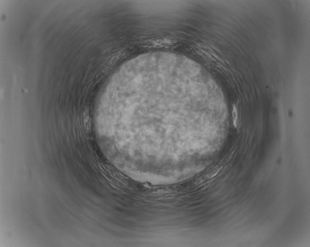 X0000075871395200610151649