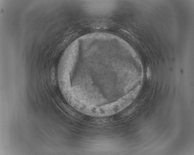 X0000075871396200610151649