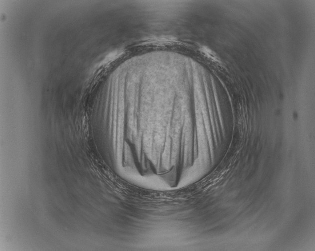 X0000075871398200610151649