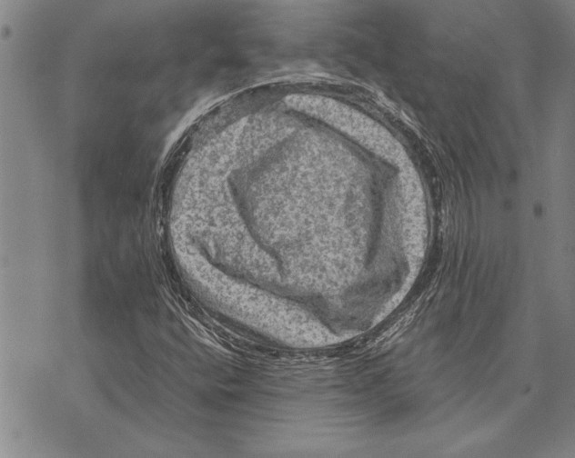 X0000075871400200610151649