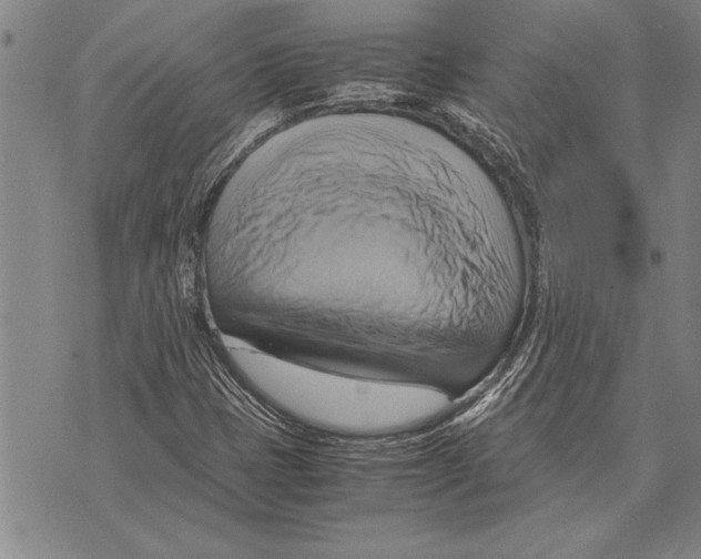 X0000075871401200610151649