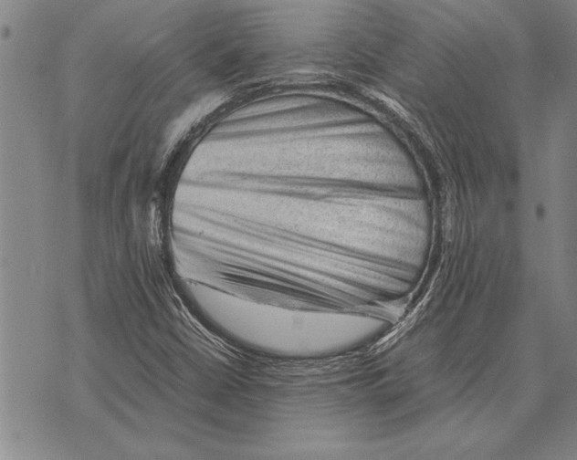 X0000075871402200610151649