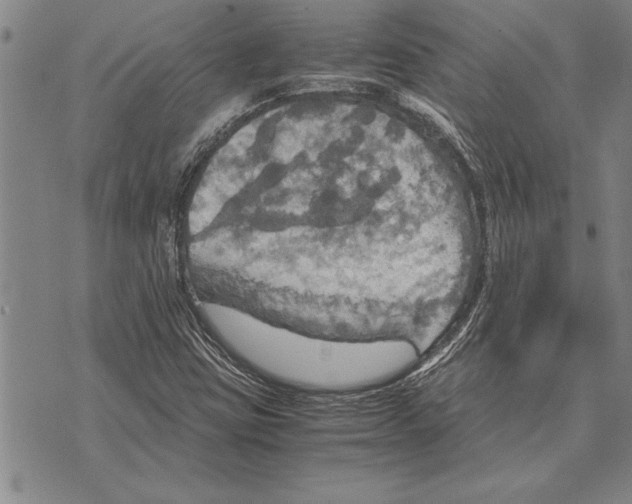 X0000075871403200610151649