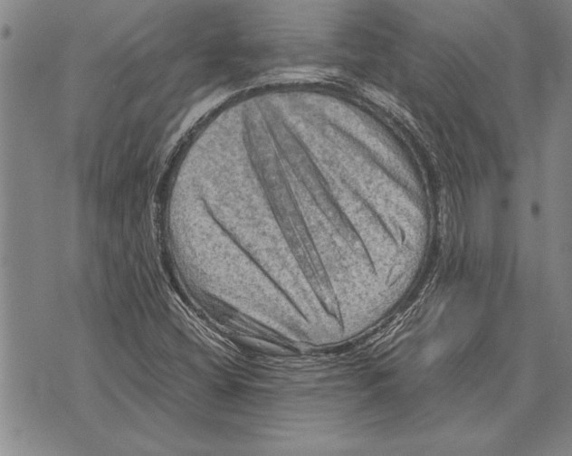 X0000075871404200610151649