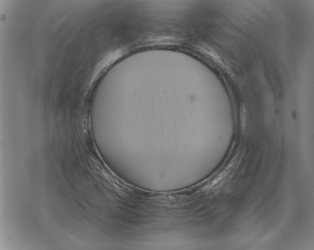 X0000075871405200610151649