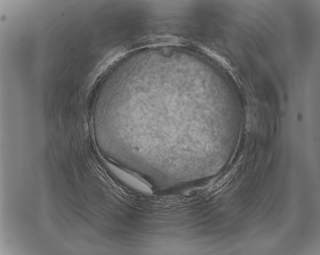 X0000075871407200610151649