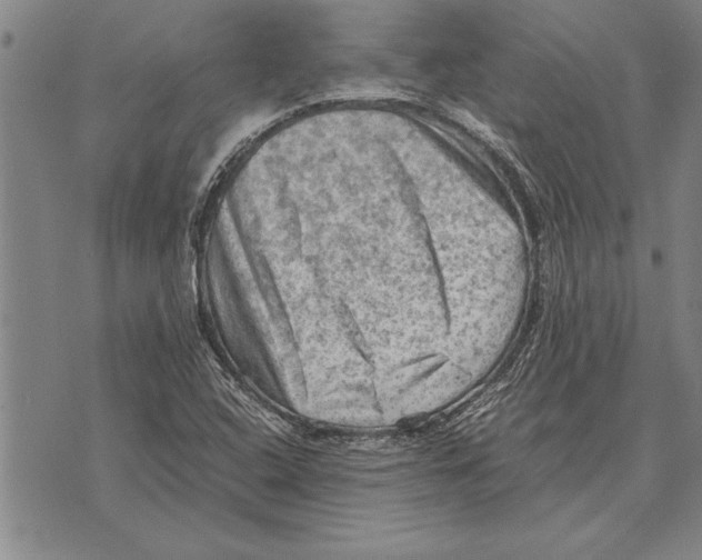 X0000075871408200610151649