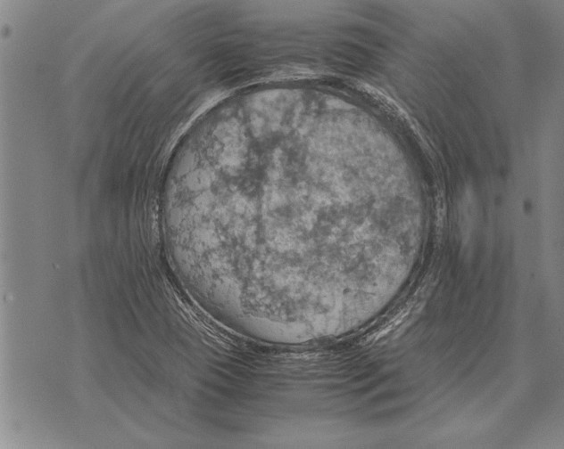 X0000075871409200610151649