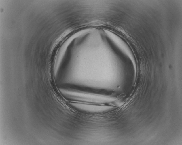 X0000075871410200610151649