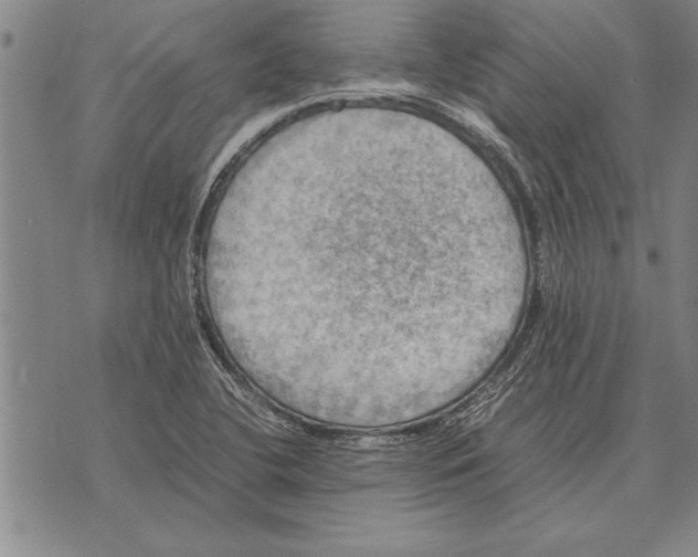 X0000075871412200610151649