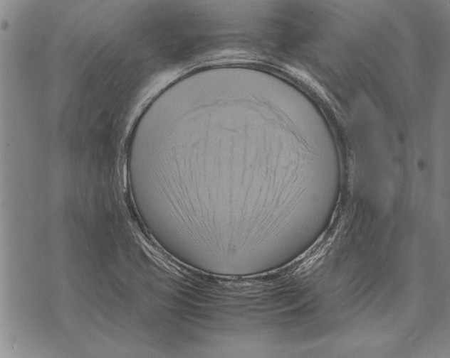 X0000075871413200610151649