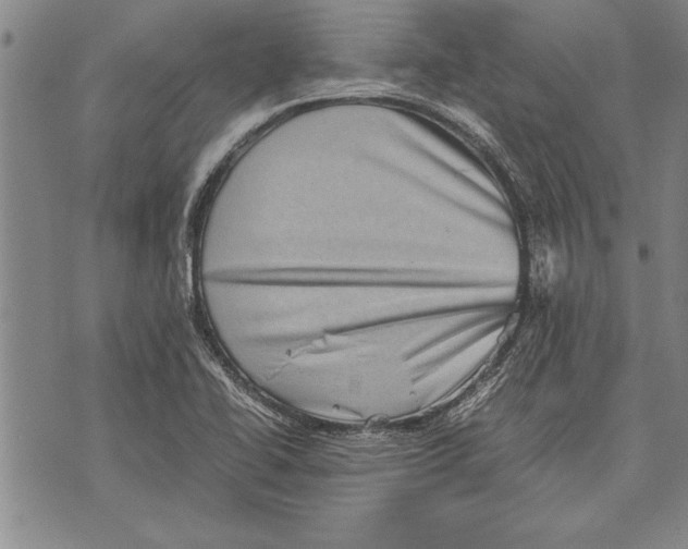 X0000075871414200610151649