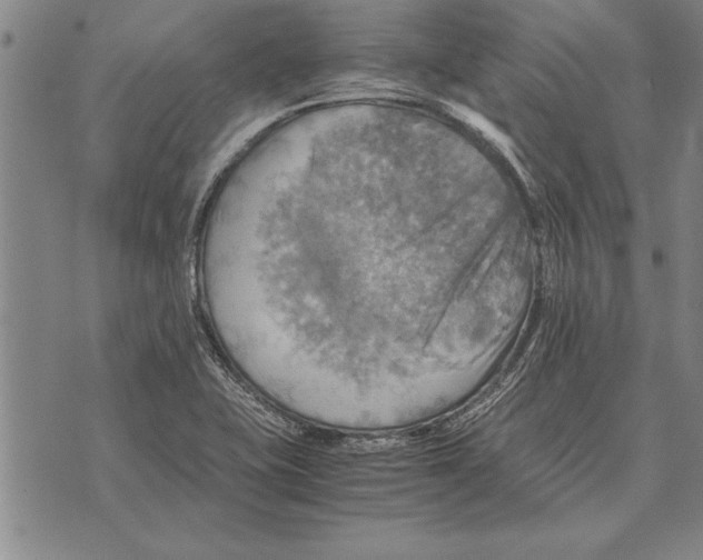 X0000075871415200610151649