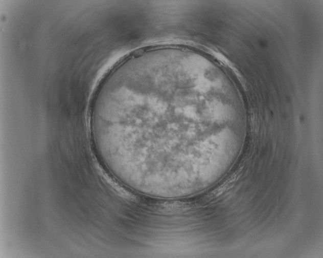 X0000075871416200610151649