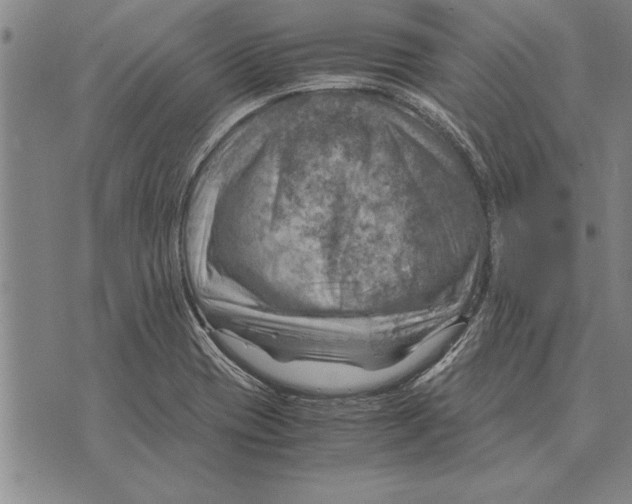 X0000075871417200610151649