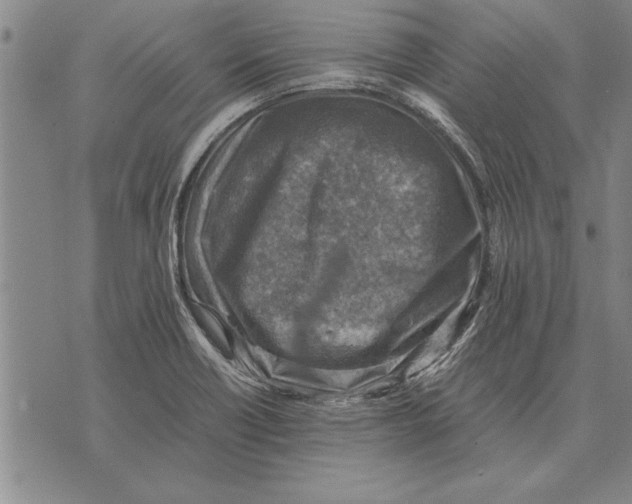 X0000075871418200610151649