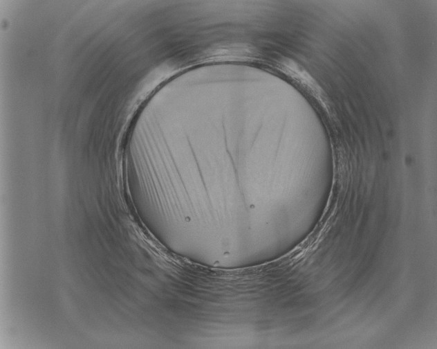 X0000075871419200610151649